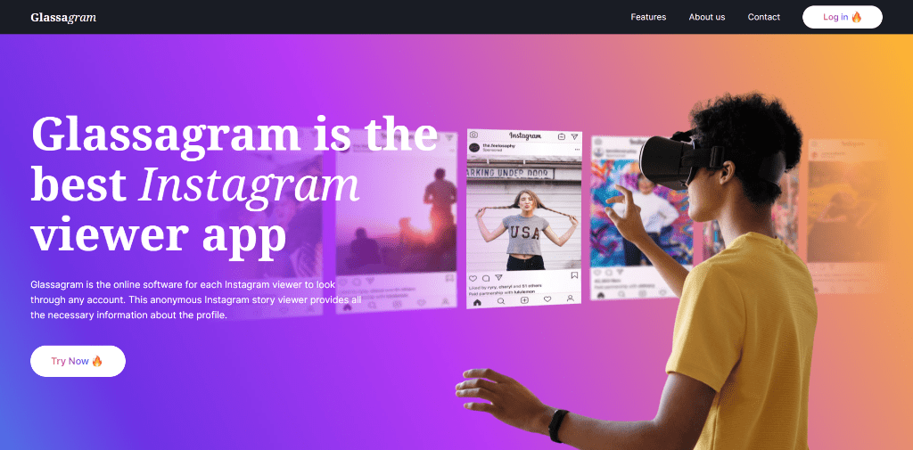 anonymous instagram story viewer